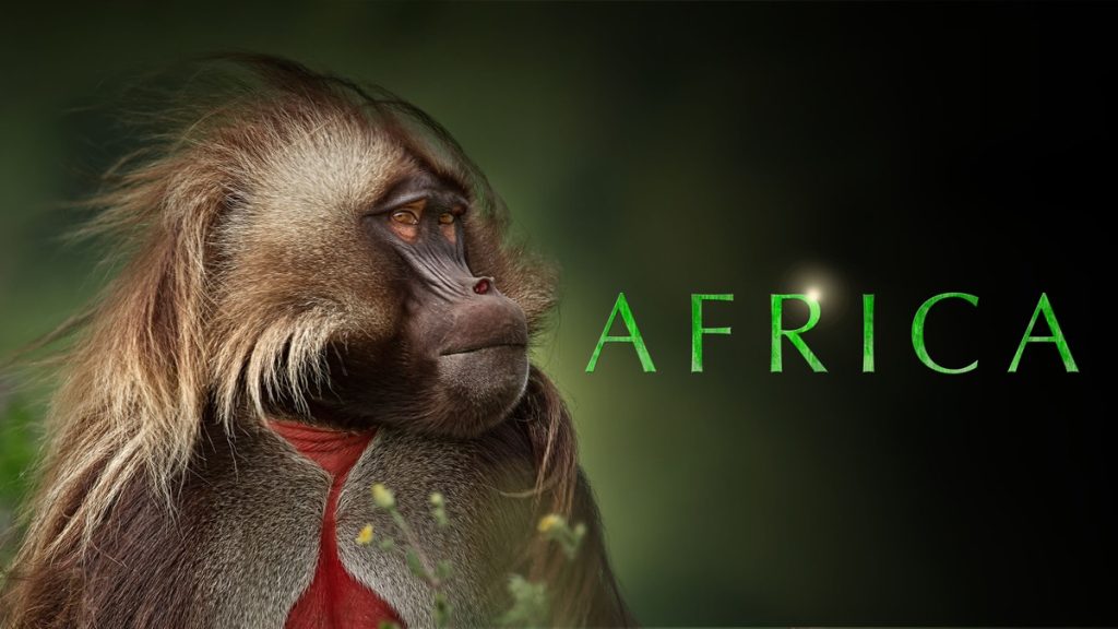 Africa (2013) Africa-(2013)