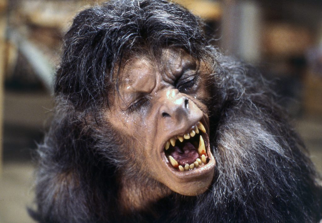 An American Werewolf in London (1981) An-American-Werewolf-in-London-(1981)